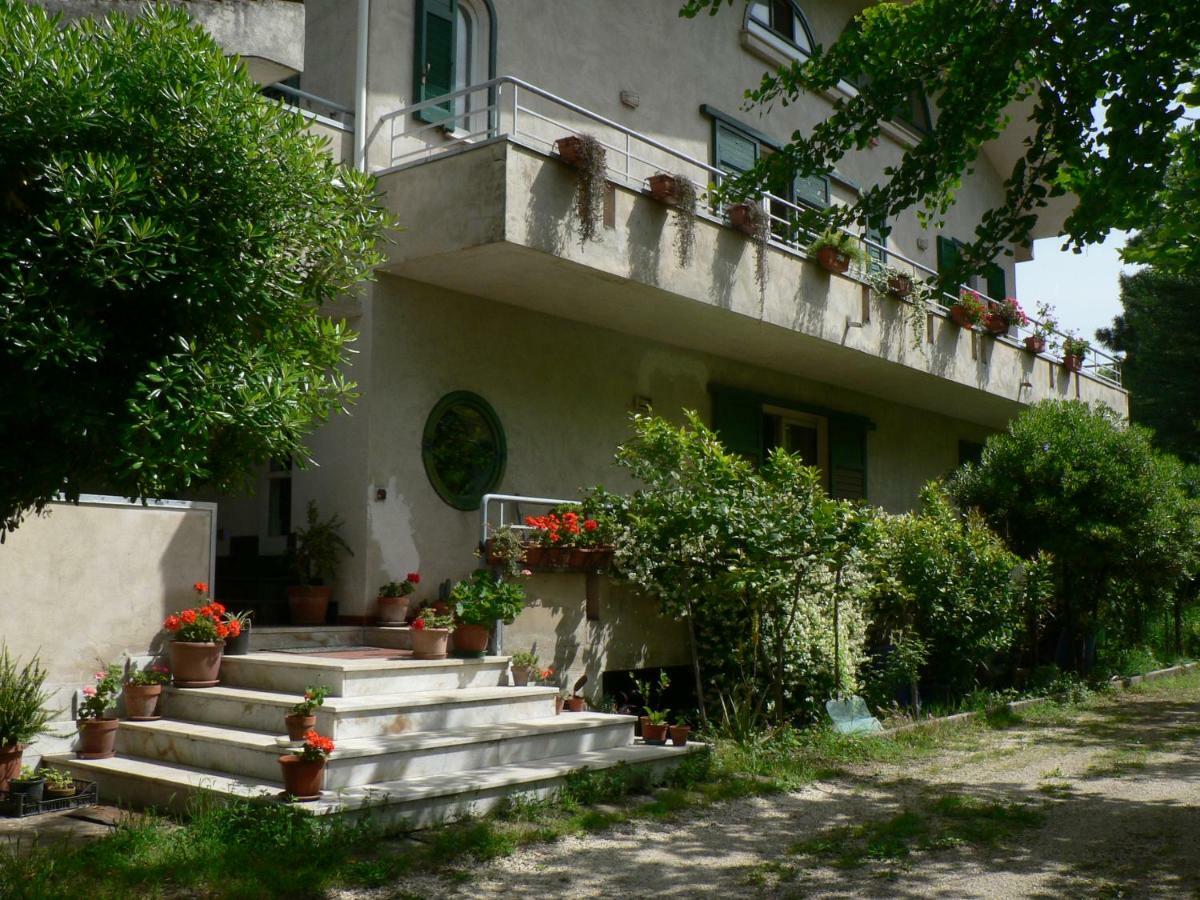 B&B Sun Garden Montoro Inferiore Экстерьер фото