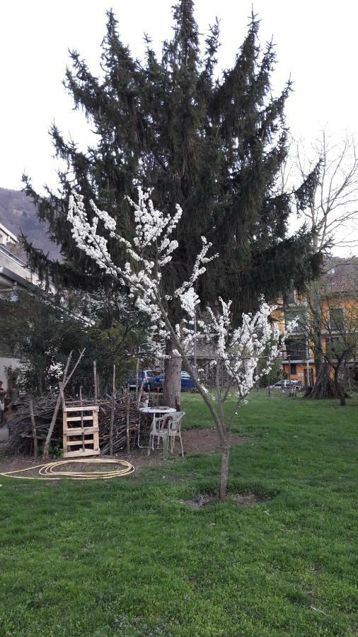 B&B Sun Garden Montoro Inferiore Экстерьер фото